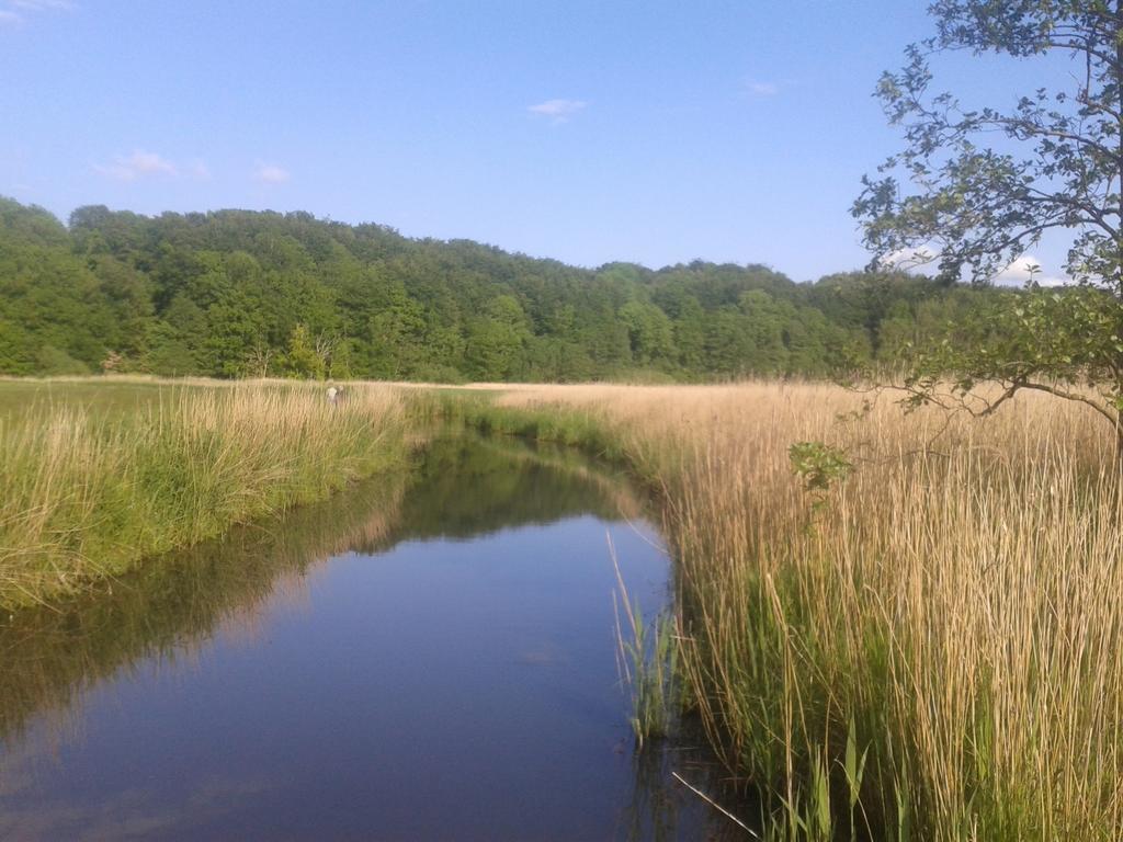 Ostsee Reetkate Langballig Номер фото