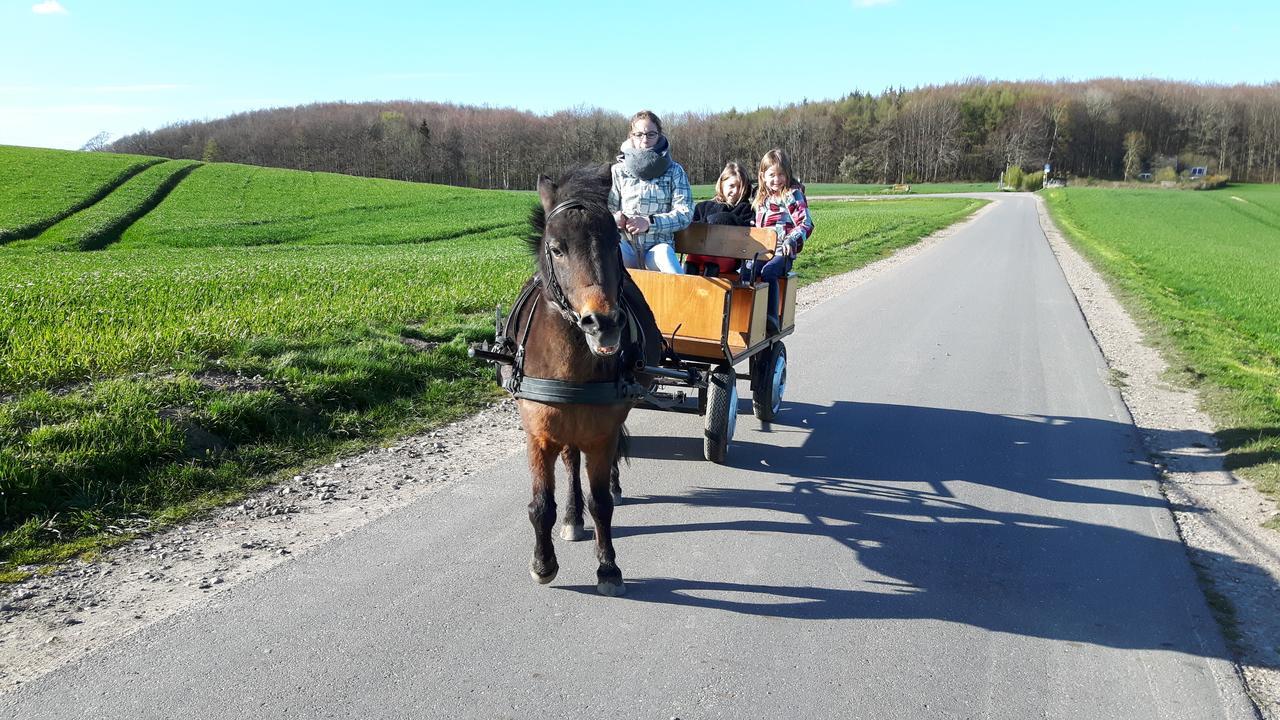 Ostsee Reetkate Langballig Экстерьер фото